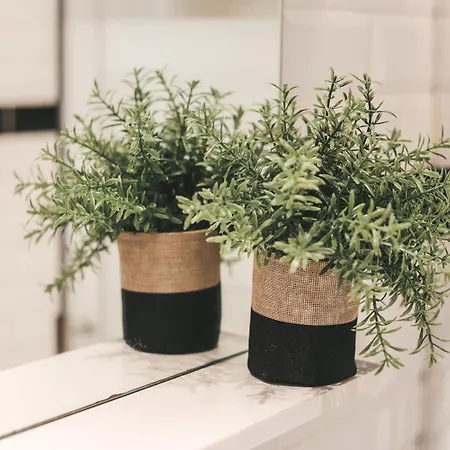 商务套房公寓 公寓