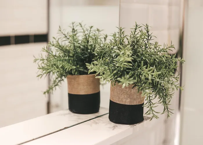 Suit'home Commerce Apartamento